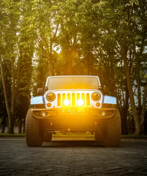 Jeep Wrangler JK Artic Edition (13)