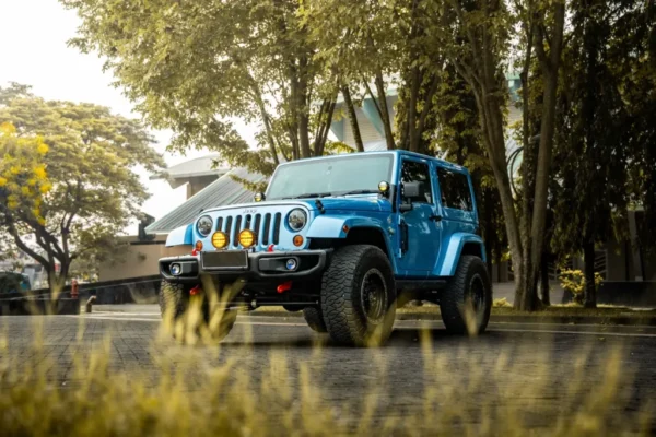 Jeep Wrangler JK Artic Edition (5)
