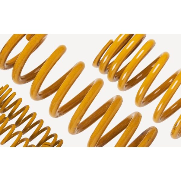 TOUGH DOG Coil Spring JK Rear